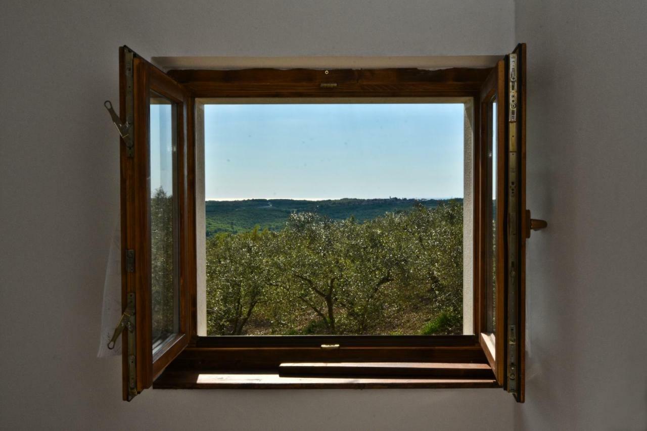 Rooms Agroturizam Romano Buje Exteriér fotografie